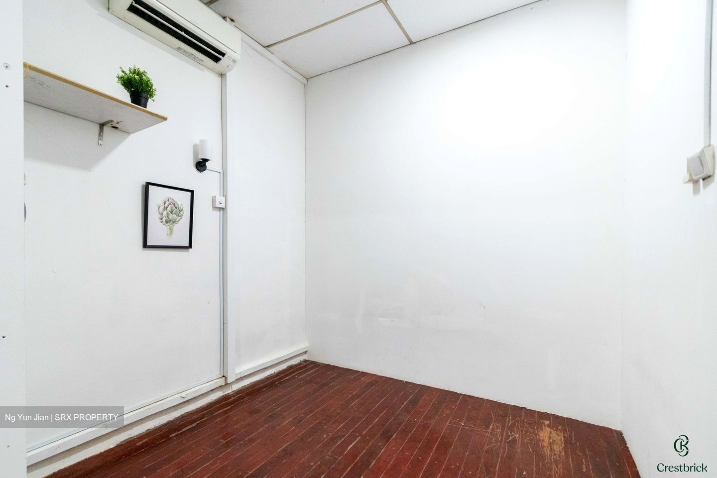 Syed Alwi Road (D8), Shop House #488467291